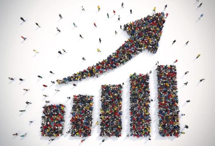 Sector Information, December 2025